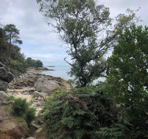 Sacré potentiel patrimonial et naturel à Noirmoutier - Noirmoutier-en-l'Île - 2