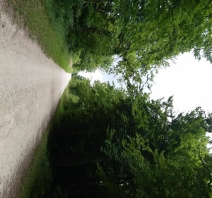 Promenons nous dans les bois vers les villages voisins. - Emilie - 3