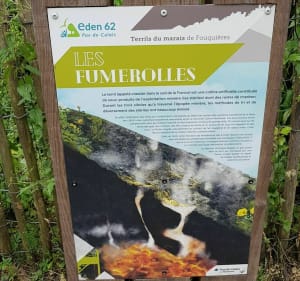Wandeling in het Bois de Florimond - Fouquières-lès-Lens - 2