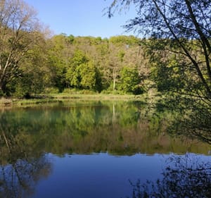 Plan d'eau de Briey - Laëtitia - 3