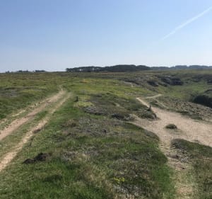 Balade à Belle-Île : des Poulains à la plage du Donnant - Belle-Île - 2