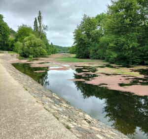 Sur les pas de Sainte-Radegonde - Nathalie - 3