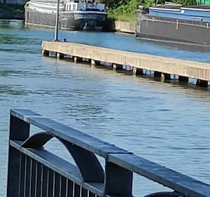 Promenade le long de la scarpe - Lambres-Lez-Douai - 2