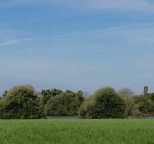 Boucle des deux pins - La Boissière-des-Landes - 2