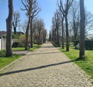 Loos-en-Gohelle :la trame verte - Loos-en-Gohelle - 2