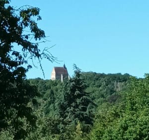 Balade de la maladrerie saltusienne - Saint-Julien-du-Sault - 2