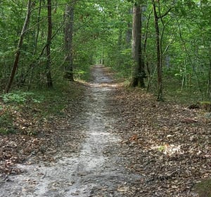 Le sentier des écoles - Mél - 4