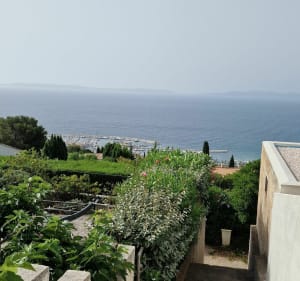 De bergkamweg van Bormes-les-Mimosas - Le Lavandou - 2