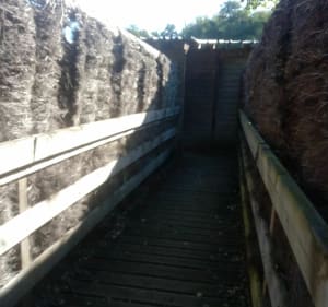 Site des étangs vaillant, Crêt et du fort - Chapelle-Voland - 2