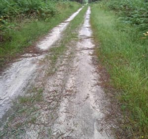 Au départ du lotissement Jeanne d'Albret II, via les airials - Labrit - 2