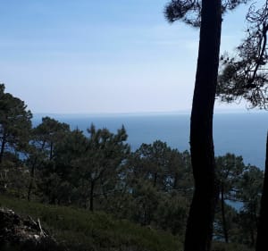 Section du GR34 de Crozon jusqu'au Cap de la Chèvre - Crozon - 4