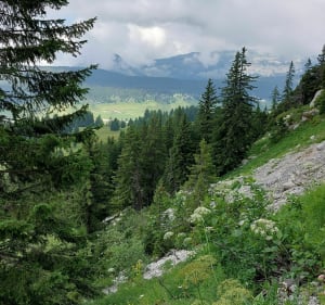 Plateau des Glières- Pointe du Puvat 1909m - Fillière - 2