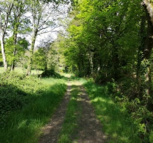 Tour de la forêt de Locmaria - Rédéné - 2