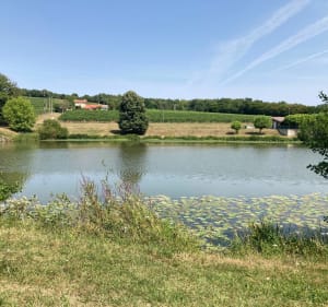 Balade sur les hauts de Cadillac - Aurélie - 2