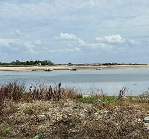 Balade agréable Île de Ré - La Flotte - 5