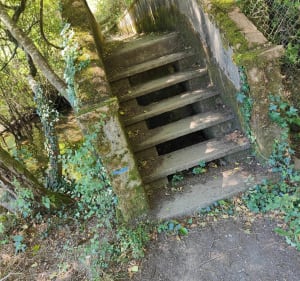 Claire - Trail Chantonnay - Jacky - 5