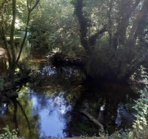 Le chemin de la biche - Johann - 3
