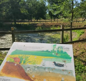 Domaine de la Prévôté - Beuvry - 2
