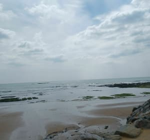 Ballade entre dunes et mer à Bretignolles - Christine - 3