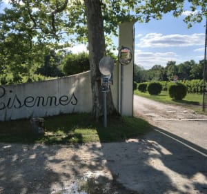 Boucle de Lacroix et Joli bois - Pompignac - 2