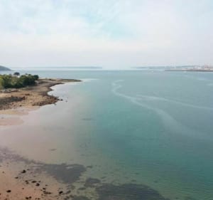 Les vallons de Brest et le pont Albert Louppe - Brest - 2