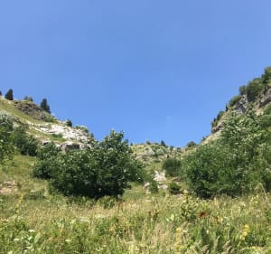 Refuge de Folly, Pas de l’avoine et Combes des Barmes - Samoëns - 3
