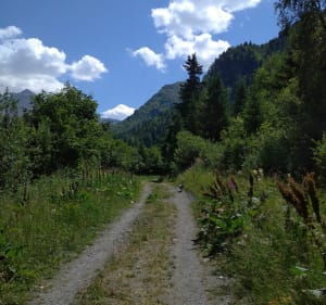 Rondleiding door het Tueda-meer via de Bear Trail - Les Allues - 2