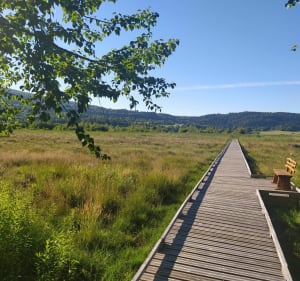 Marais de veaux - Plateau d'Hauteville - 2