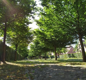 Promenade autour du Parc de Robersart à Wambrechies - Wambrechies - 3