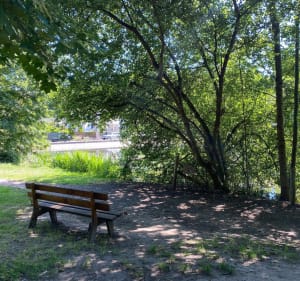 L’etang des écrevisses a l’etang du trou aux gants - Vélizy-Villacoublay - 2