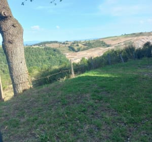 Sentier des moulins et sentier botanique à VTT - Mathieu - 3