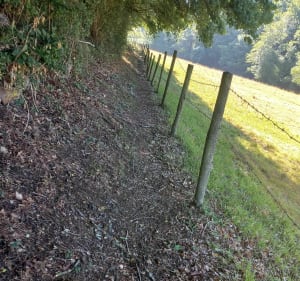 Sentier des moulins et sentier botanique à VTT - Chazelles-sur-Lyon - 2