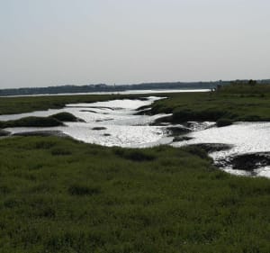 Baie de Sallenelles - Ouistreham - 2