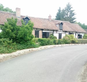 Boucle Neuvy-Nançay par la forêt - William - 2