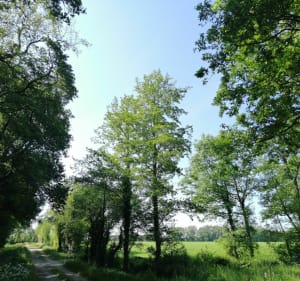 Boucle au hameau de l'Audouinière - Sainte-Flaive-des-Loups - 2