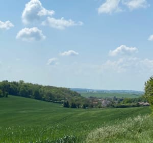 Marche à Tucquegnieux - Tucquegnieux - 2