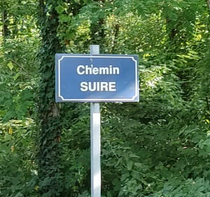 Balade entre villages et Adour - Sophie - 3