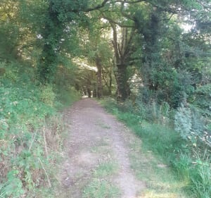 Le chemin de la duchesse Anne - Elliant - 2