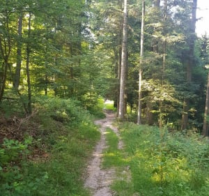 Petite balade autour de Schaeferhof - Yves - 3