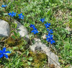 Aiguilles de Baulmes - Jougne - 4