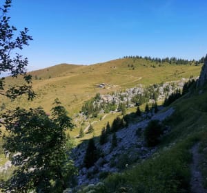 Tour de haute pointe - Celine - 3