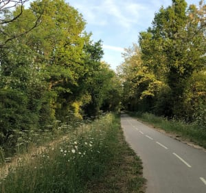 Balade vers le bois d’Arnaud - Clemence - 3