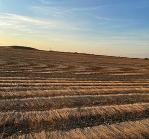 Petite balade du soir autour de Montiers - Montiers - 2