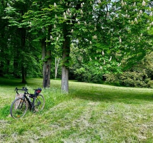 Virée à vélo au Domaine de Saint-Cloud - Paris - 2