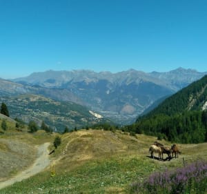 Les deux boucles ( oucle de St Jean d'arves + les 2 cols ) - Saint-Jean-d'Arves - 5