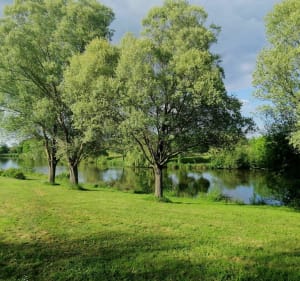Petite boucle dans La Mothe Achard - La Mothe Achard - 2