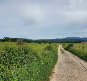 Le Thiamont par Frahier - Frahier-et-Chatebier - 2
