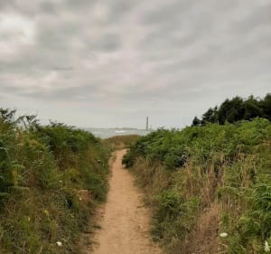 Pour la vue sur le phare de l'île vierge - Plouguerneau - 2