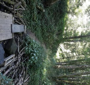 Sentier des 3 lacs - Bulgnéville - 2