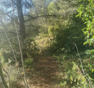 Les terrils des Molx de Biver - Gardanne - 2